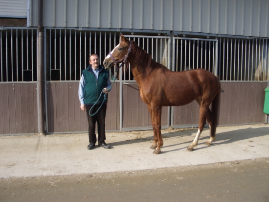 Manège Waterhof Lubbeek -