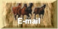 E-mail Waterhof